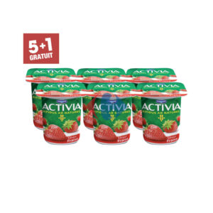 Yaourt Activia DANONE