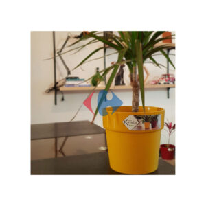 Cache pot de fleurs KAMELIA